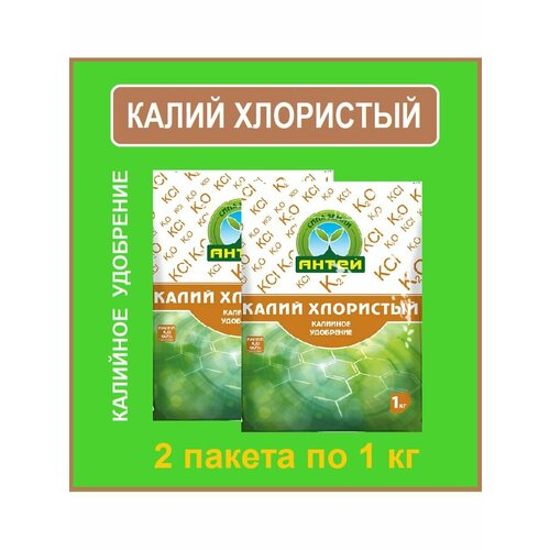 ������ ������ ����� ��������� �������� ���������, 1 ��, 2�� ����