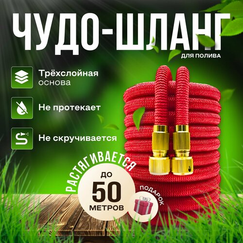 ������ ������ ����� ������� ��������������� 50 ������ ��� ������ � ������������ � ������������/ 50 ������ ������� � ������������� �����������, ���������� ����