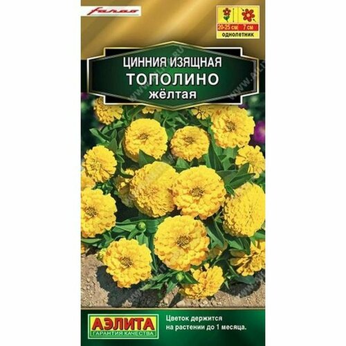 ������ ������ ������ ������ �������� ������ (����������) (������) 12�� Farao ����