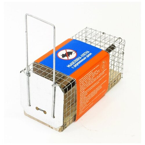 ������ ������ ��������� GARDEN SHOW ������ 12 � 5 � 6�� 1 ��. ����