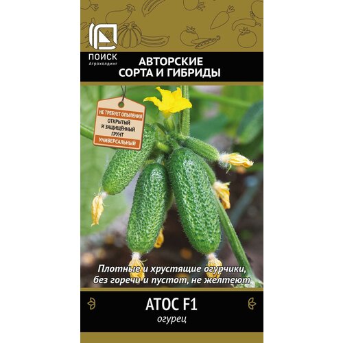 ������ ������ ������ ������ ���� F1 12�� ������������������ ������ (�����) ����� ����