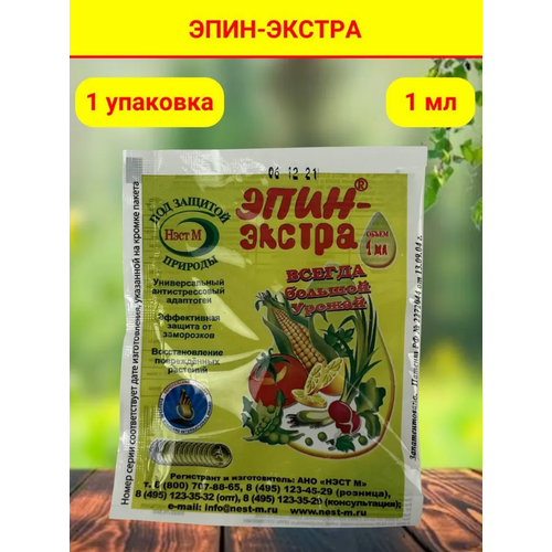 ������ ������ ���� - ������ ��������� ����� � �������� ��������, ��������� ������������, � ��������� 1 �������� 1 ��. ����