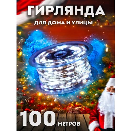    100    -     , -,   