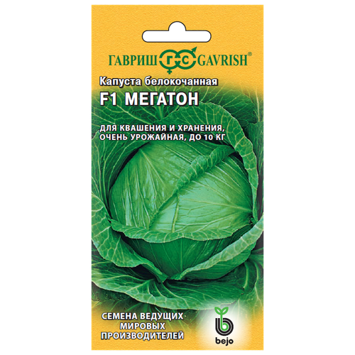 ������ ������ ������ ������ Bejo ������� ������������ ������� F1 10 ��. ����