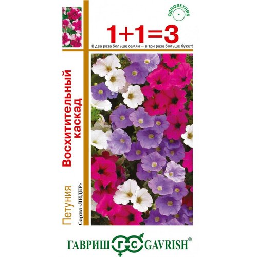 ������ ������ ������ ������� ��������� �������������� ������, �����, 10��, ������, ����� ����� 1+1 ����