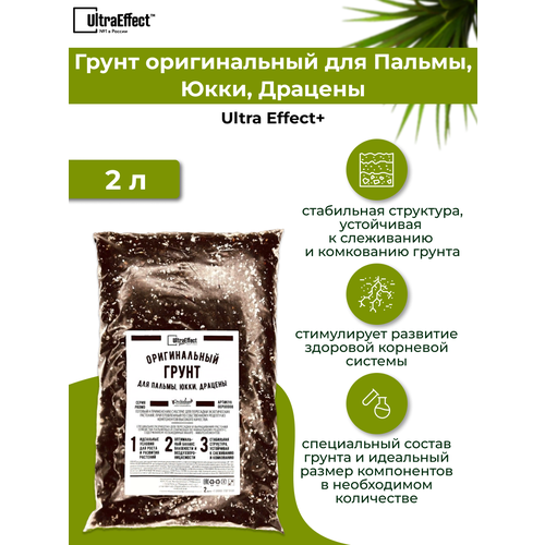 ������ ������ ����� ������������ ��� ������, ����, ������� 2,0 � ����