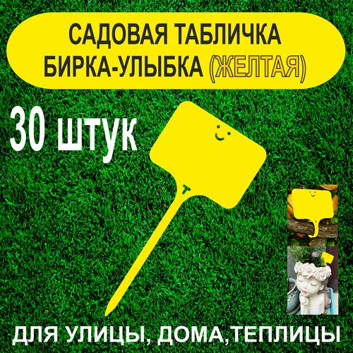 ������ ������ ������� ����� - ������. �������� ��� ��������. 30 ���� (������) ����