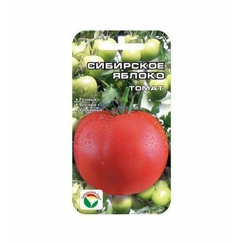 ������ ������ ��������� ������ 20�� ����� (��� ���) ����