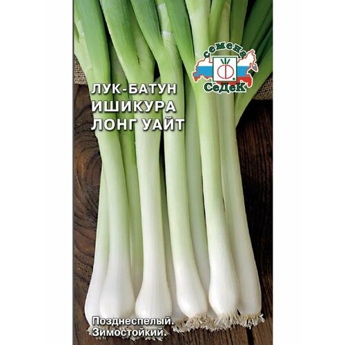 ������ ������ ��� ����� 