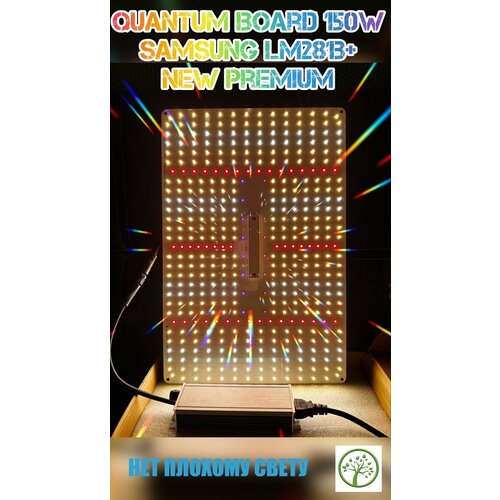      150  Quantum board 150W Samsung LM281B+   SL 2000pro 468    -     , -,   