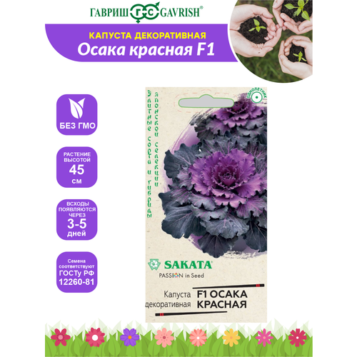 ������ ������ ������ ������� ������������ ����� ������� F1 ������ - ����� ��������� 7 ��. ����