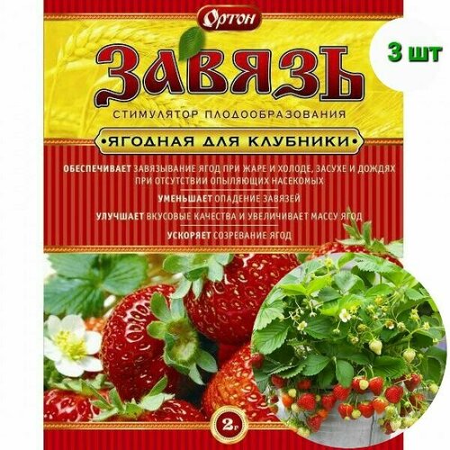 ������ ������ ���������� ����� 