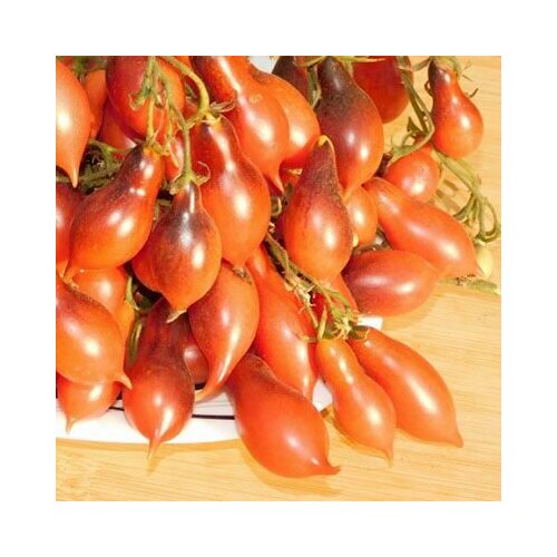 ������ ������ ������������� ������ ������ ������ 14 �������� � ������� ������� ���� ����