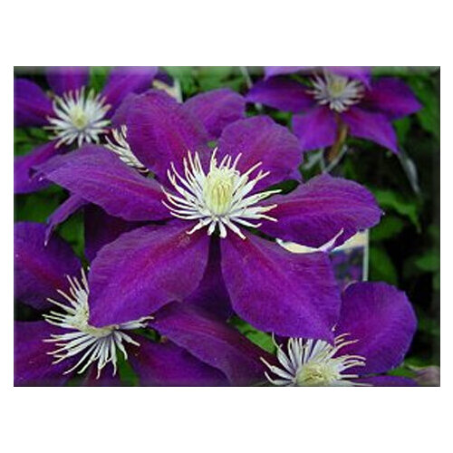 ������ ������ ������ �������� ��������������� ����� 0,05 � (1 ��������) ����