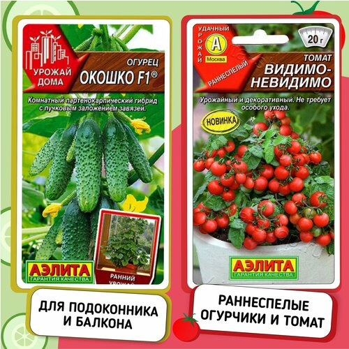 ������ ������ ����� ����� ��� ������� � �����������. ����� ����� � ������. ����