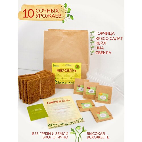 ������ ������ ����� ��� ����������� ����������� 10 �������, �����������, ����� ����