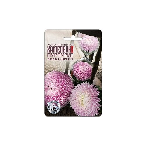 ������ ������ ����� �������� �������� ����� ����� ����