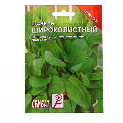 ������ ������ ������ ���L ������ 