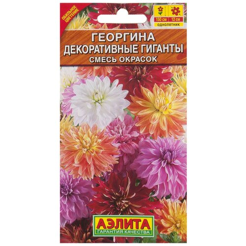 ������ ������ ������. �������� 