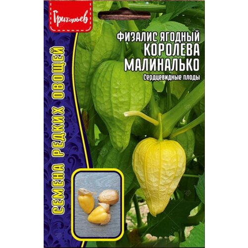 ������ ������ ������ �������� �������� 