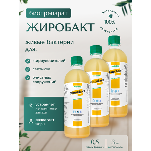 ������ ������ �������� - �������� ��� ��������������, �������� � �������� ����������. 1.5 �. ����