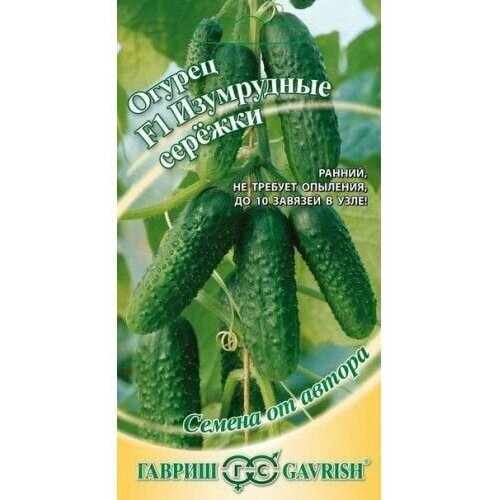 ������ ������ ������ ������ 