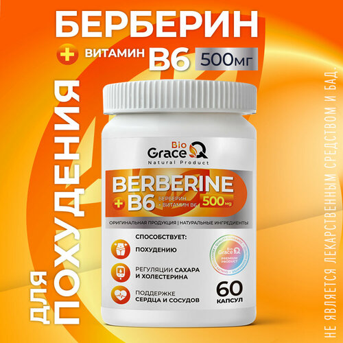 ������ ������ �������� ��� ��������� 500 ��, 60 ������ ����