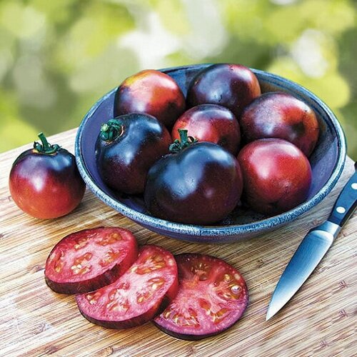 ������ ������ ������ ����� ����� 5 ���� ����� ���� ������ ����