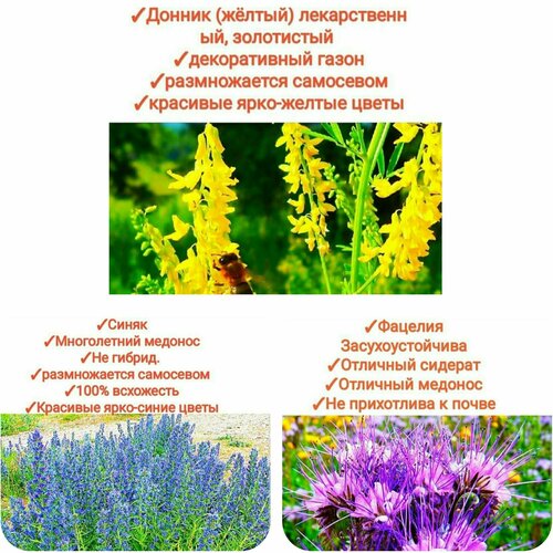 ������ ������ ����� ���������� ����/���������, 150��(������+�������+�����)�������� ������, premium ����