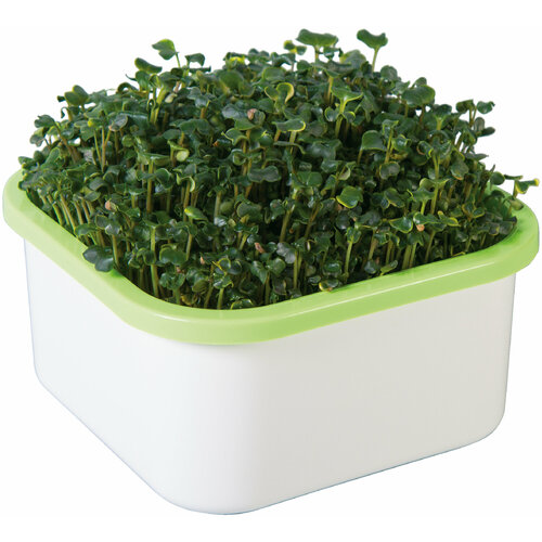 ������ ������ ������������� ������������� ����