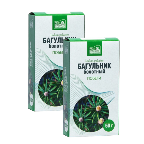 ������ ������ ��������� �������� ������, ���� �������, � ������ 2 �� �� 50 � ����