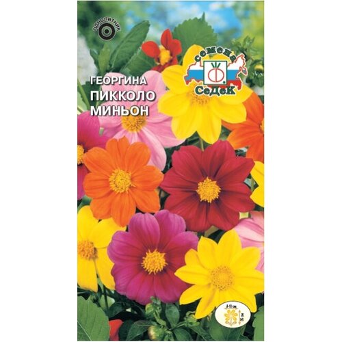 ������ ������ �������� ������� ������ , 21 ��. ����