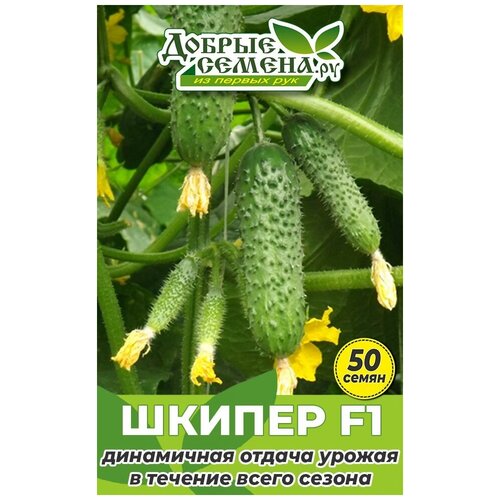 ������ ������ ������ ������ ������ F1 - 50 �� - ������ ������. �� ����