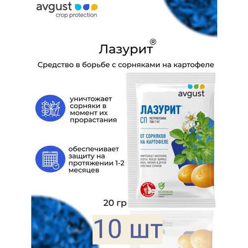 ������ ������ ������� �������� ������ �� �������� 10 �� ����