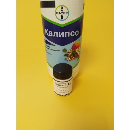 ������ ������ ���������� ������� 50 �� ����