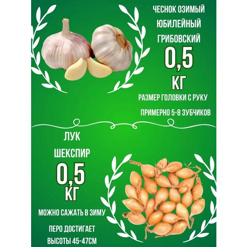 ������ ������ ����� ������ ������ � ��� ����� 0.5 �� ����