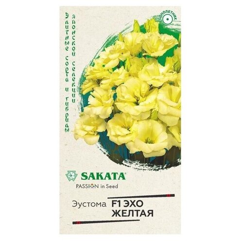 ������ ������ ������ ������ ��������� ������� F1 ��� ������ 5 ��. ����