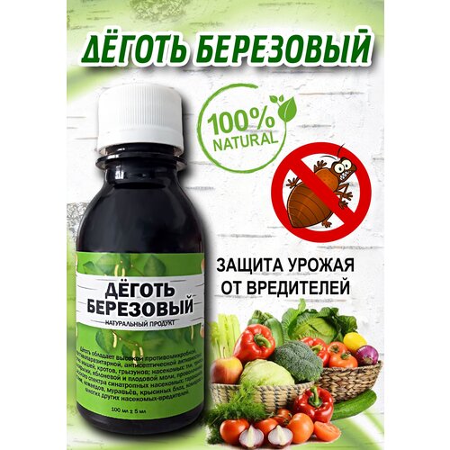 ������ ������ �������� ��� ������ ��������, �� ��������, �����-����, ������ ���������, 100 ��. ����