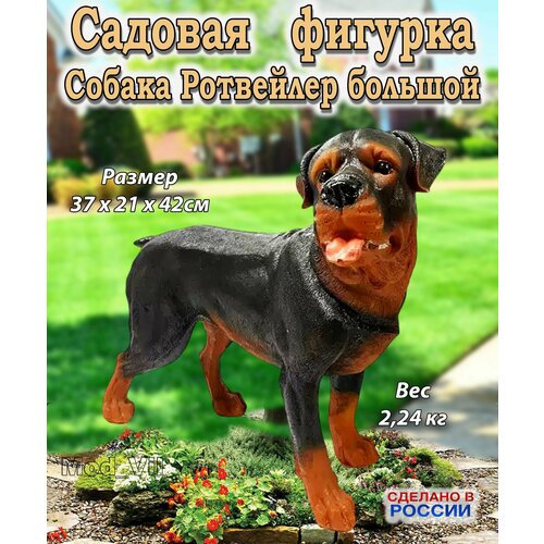 ������ ������ ������� ������� ������ ��������� ������� �����, ����� ��� ����, ���� � ������� ����