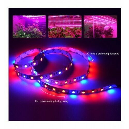 ������ ������ ��������� ��� �������� 3 ������� +1 �����, SMD 5050, 60 ������/����, 12 �, IP20,( 5 ������) ����