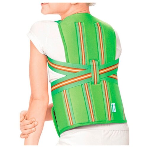 ������ ������ ��������� ������ Orlett TLSO-250(P) �������, ������ L, ������� ����