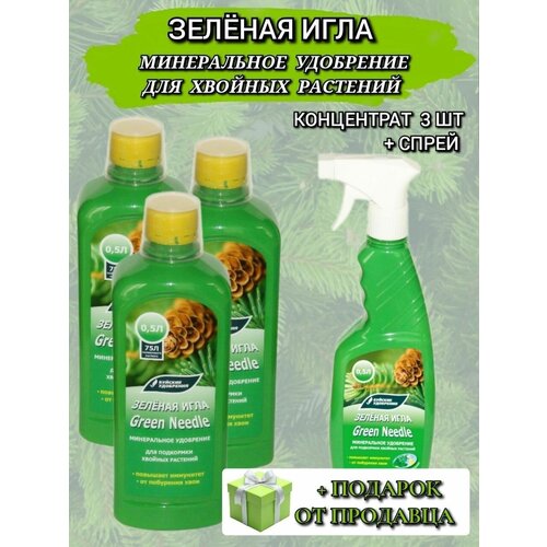 ������ ������ �������� ����������� ��������� 