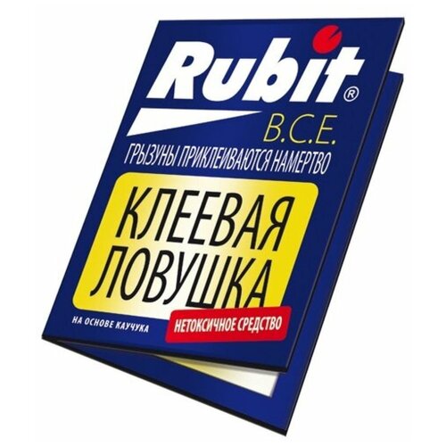 ������ ������ ������� ������� �� ���� � ����� (������) ����� ����