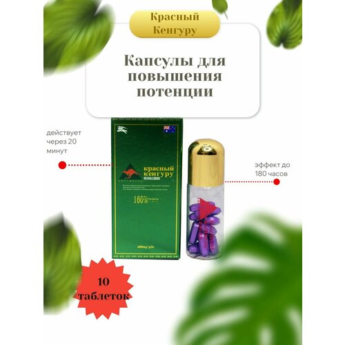 ������ ������ ������� ��� ��������� �������� ������� �������, 10 �������� ����