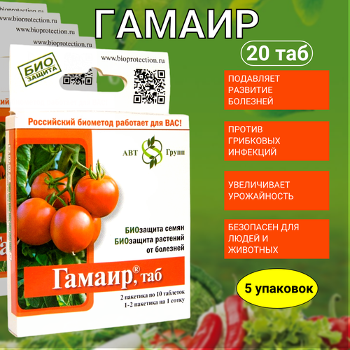 ������ ������ ����������������� ������, 5 �� �� 20 �������� ����