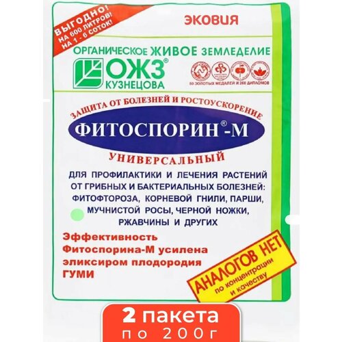 ������ ������ ���������� � ������������� ��� ������� �������� 2 �� ����