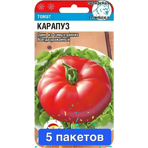 ������ ������ ������ ������ ��������� ��� 