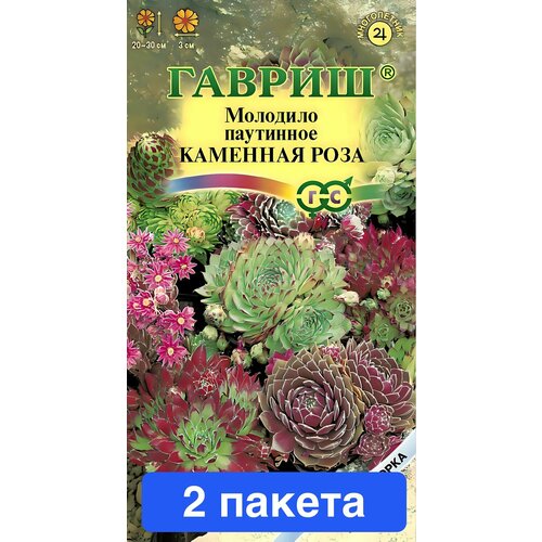 ������ ������ ������ ������ ������ 