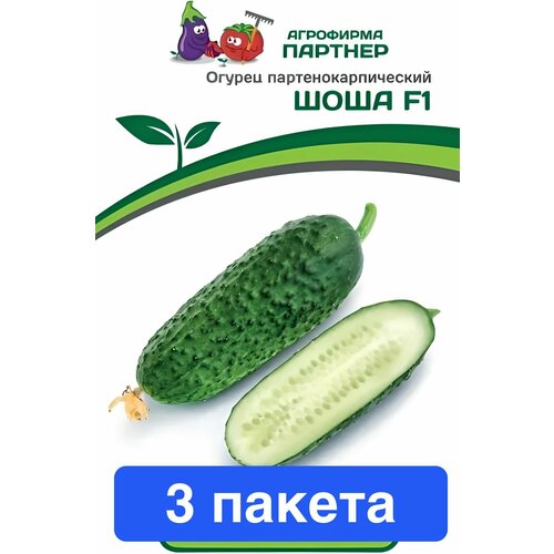 ������ ������ ������ ������ ��������� ������� 