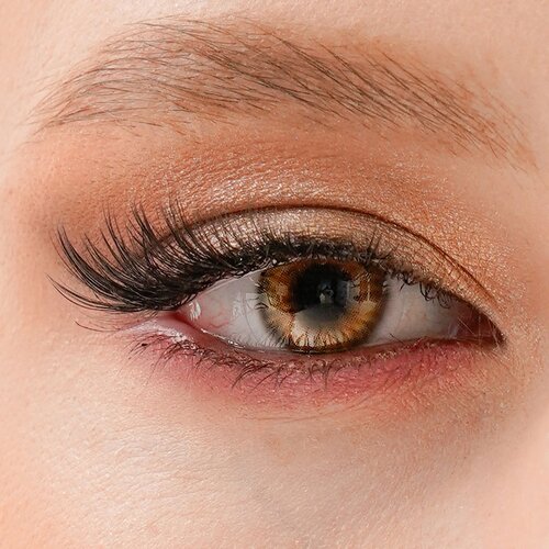 ������ ������ ���������� ����� URBAN LAYER ru Havana, 2 ��., R 8,6, D -3,5, brown, 1 ��. ����